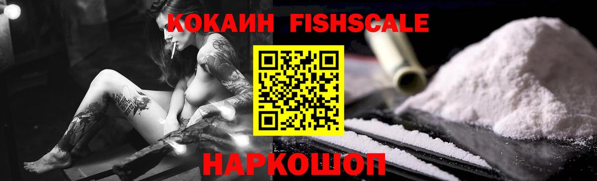 Cocaine Перу  Вход с VPN  Выкса  Cocaine Fish Scale 